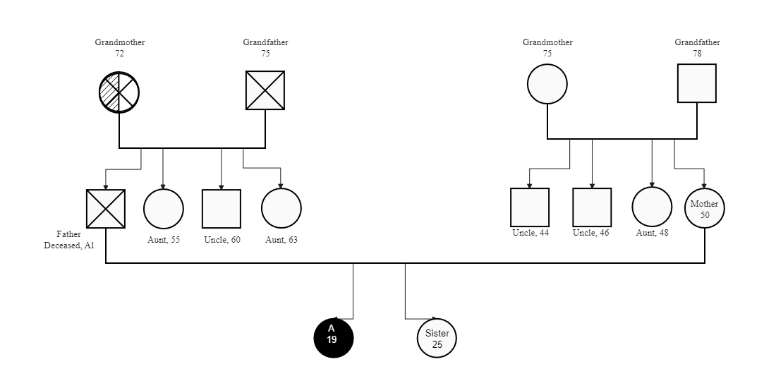 Genogram for Student's Project