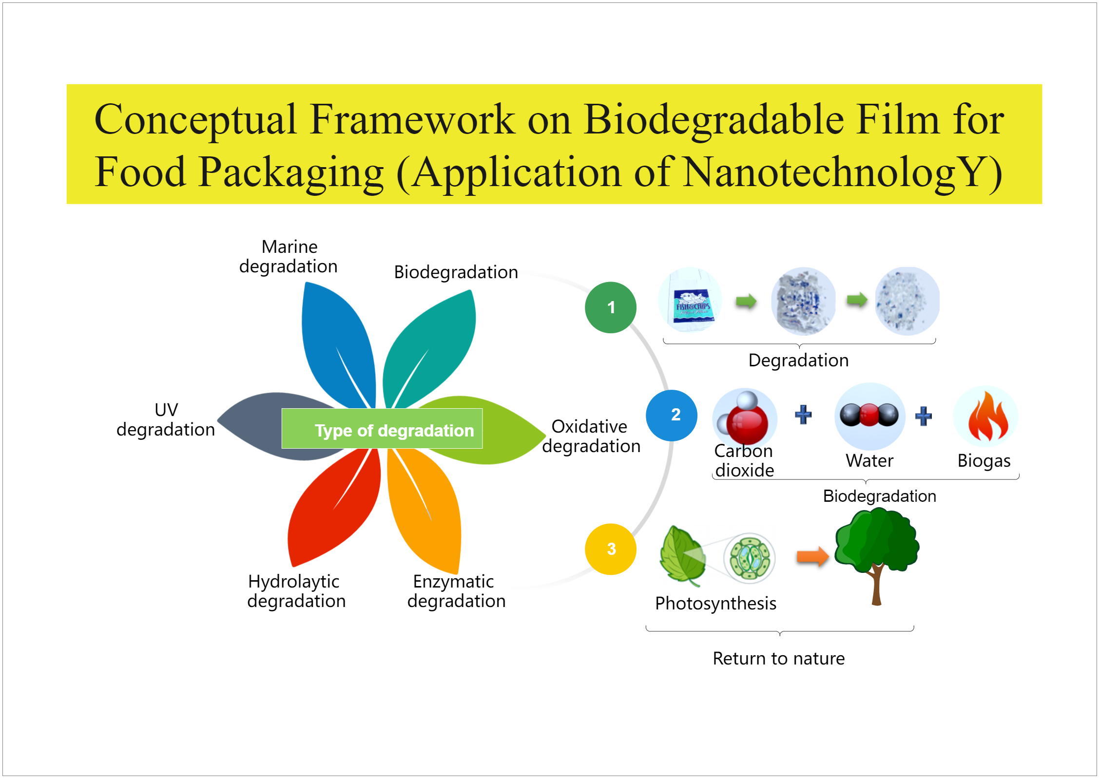 Conceptual Framework on Nanotechnology