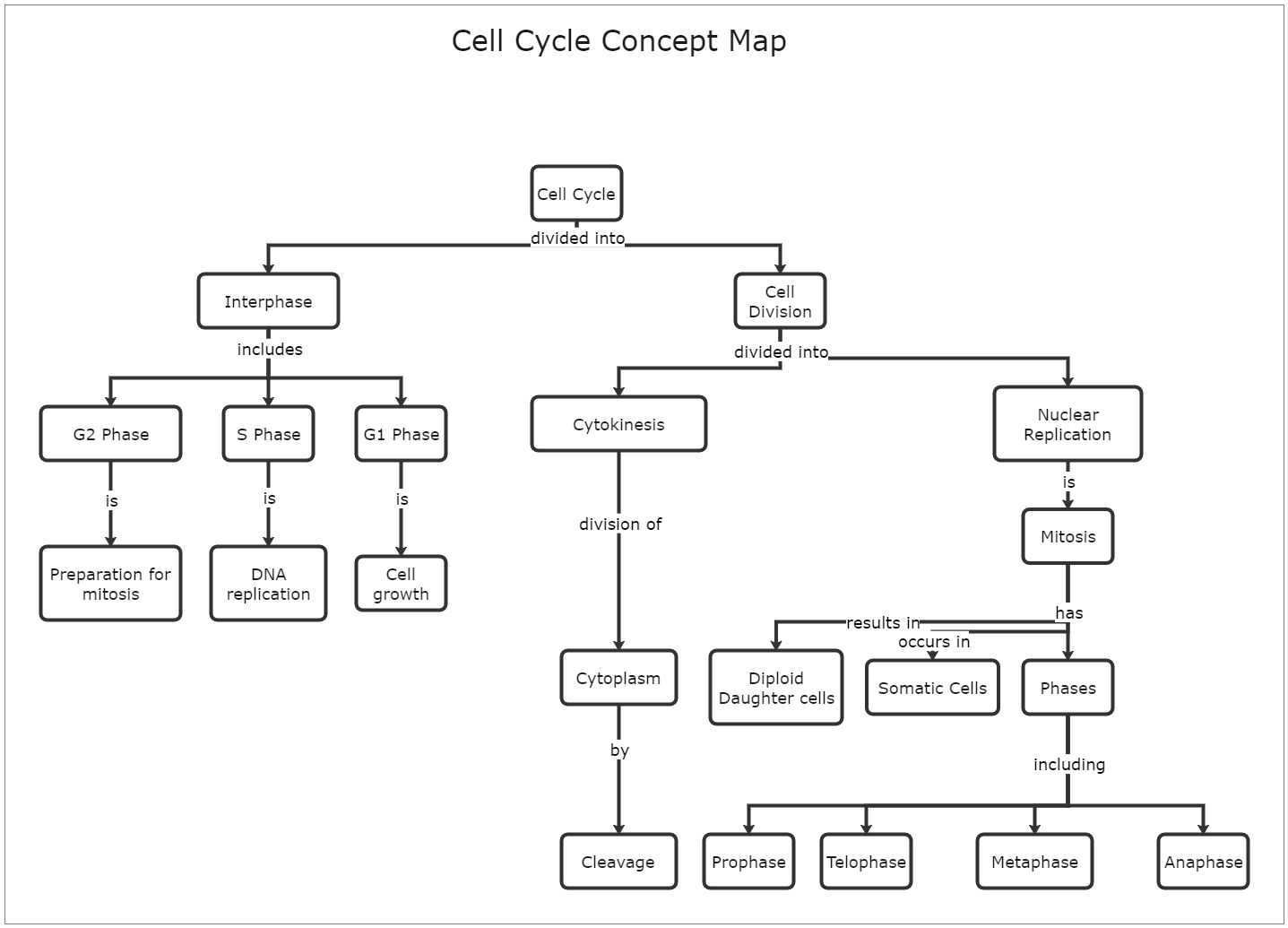 Cell Cycle Concept Map Template