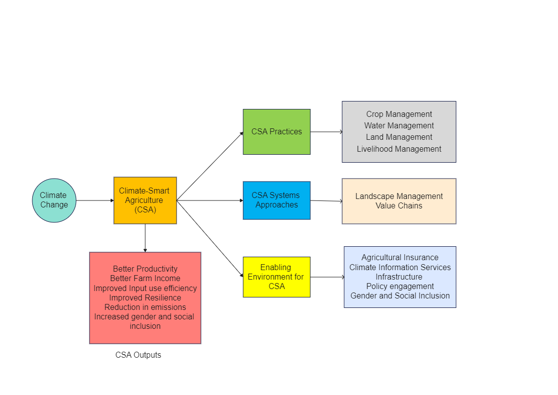 CSA Framework