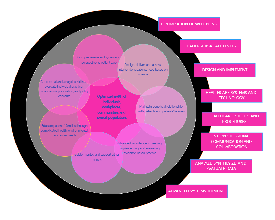 DNP Conceptual Framework