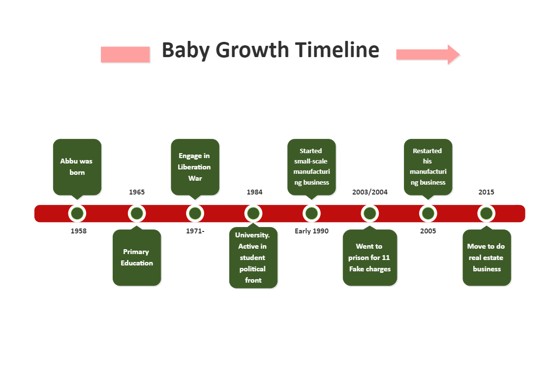 Baby Growth Timeline