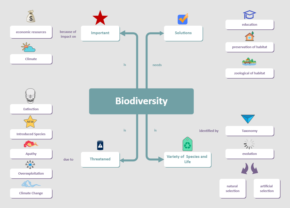 Biodiversity Biology Concept Map Template