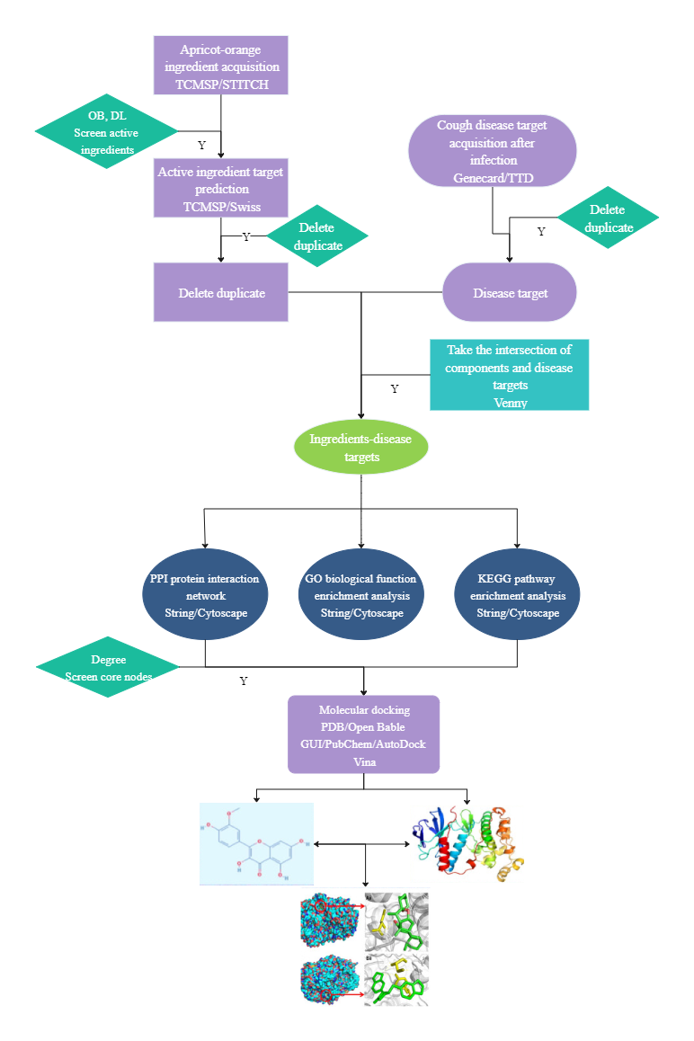 Biology Flowchart EdrawMax Templates