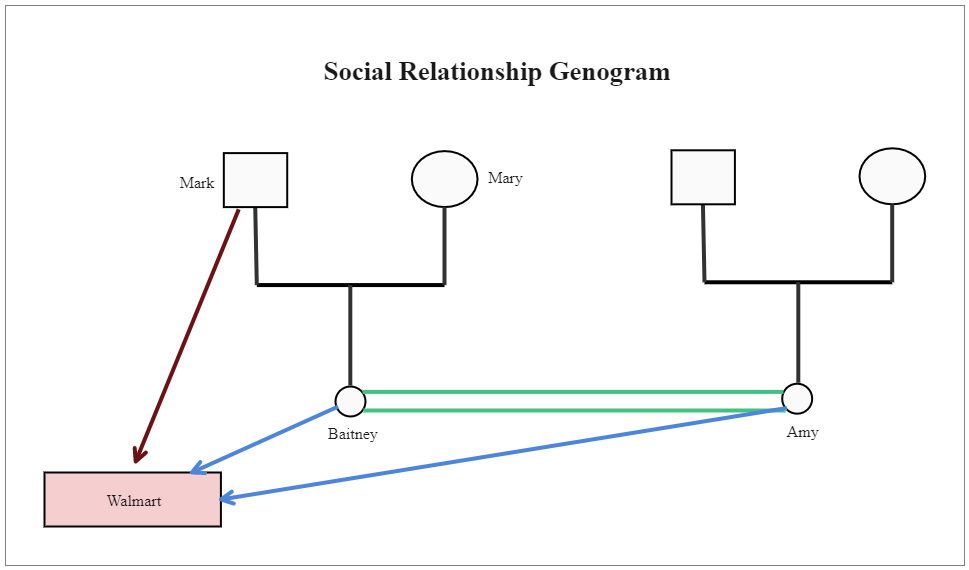 Social Relationship Genogram