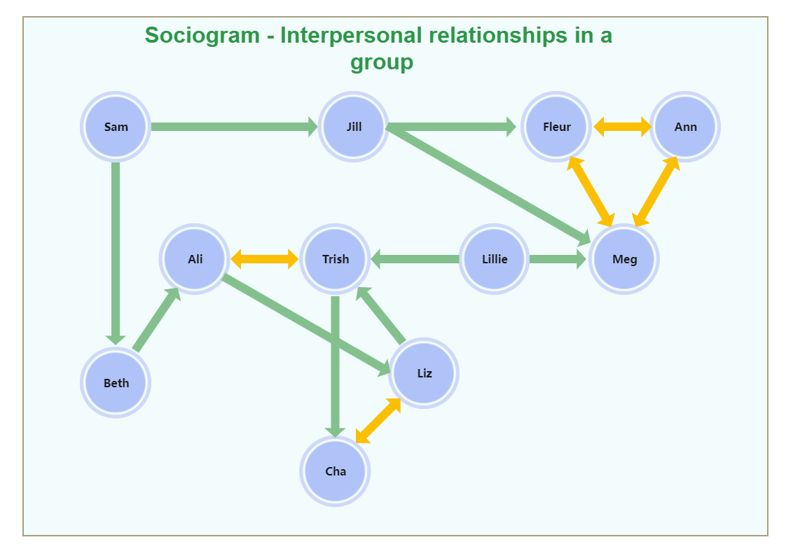Interpersonal Relationships Sociogram