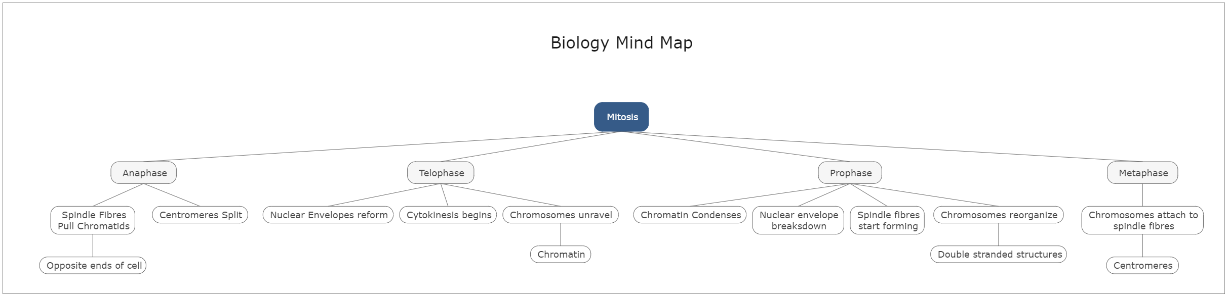 Biology Mind Map Template