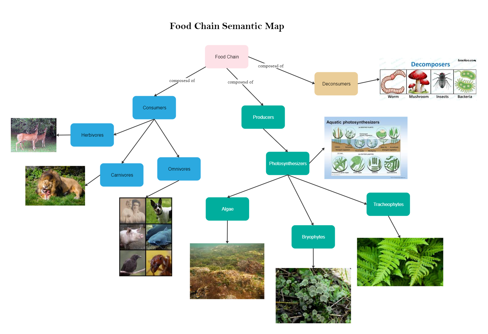 Food Chain Semantic Map
