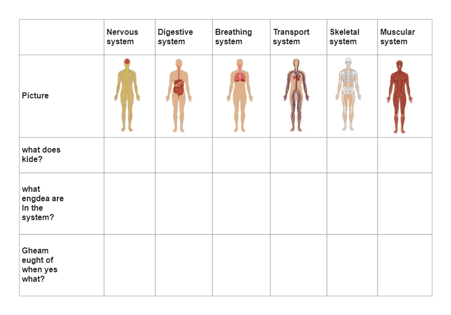 Human Body Systems Graphic Oragnizer