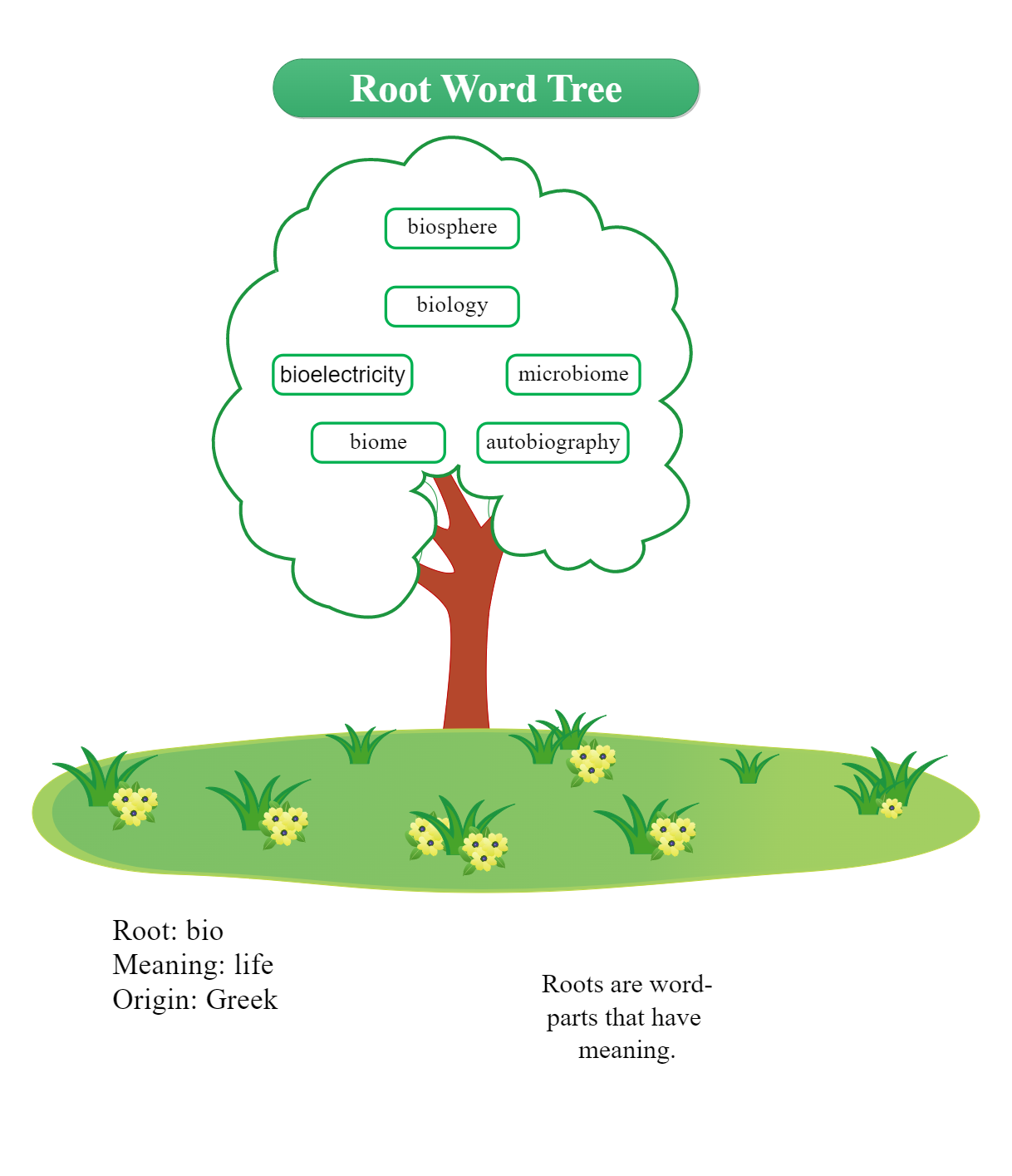 root-word-tree-biology-edrawmax-template