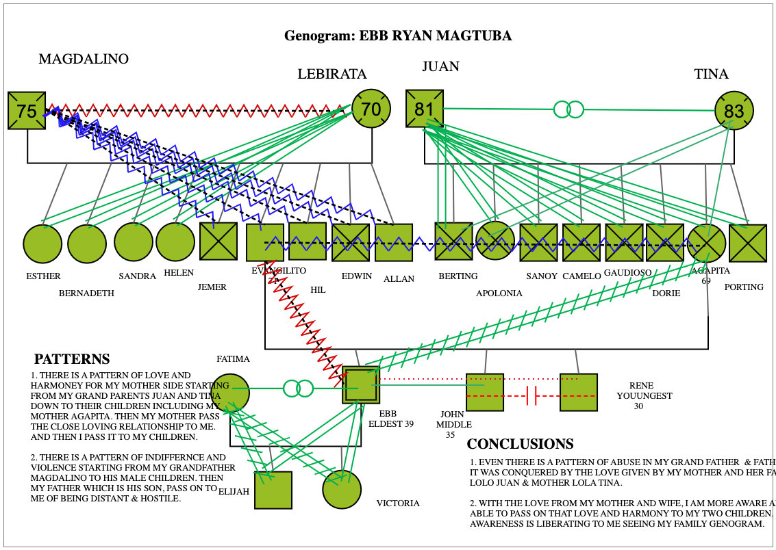 Maternal and Paternal Family Extended Genogram