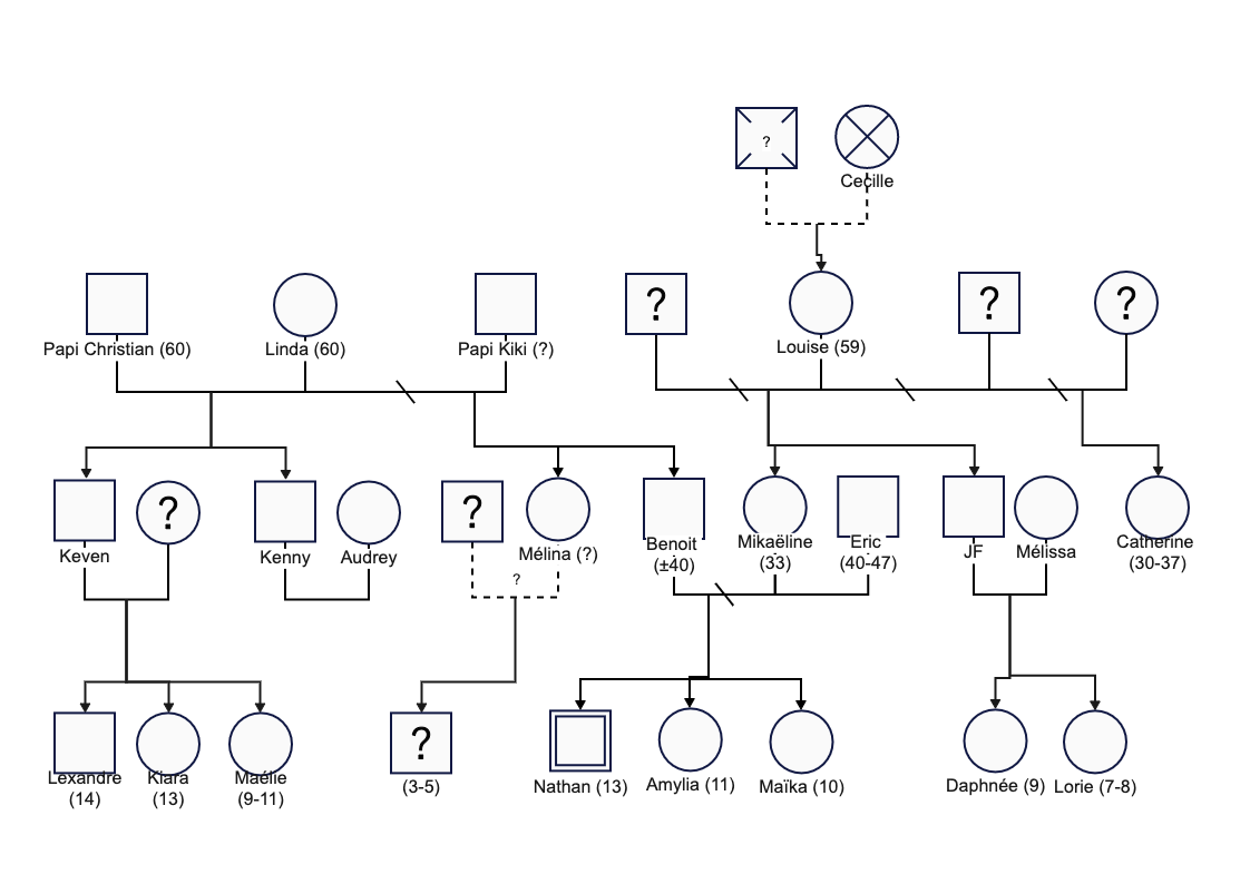 4 Generation Genogram Diagram | EdrawMax Templates