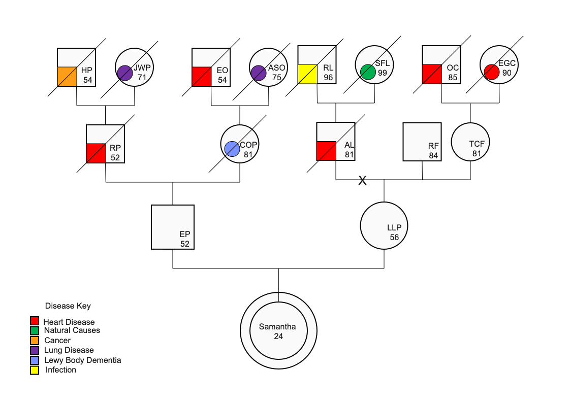 Genogram for Health Assessment | EdrawMax Templates