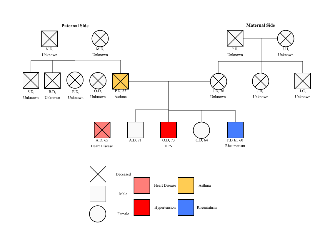 Paternal Maternal Detailed Genogram Diagram