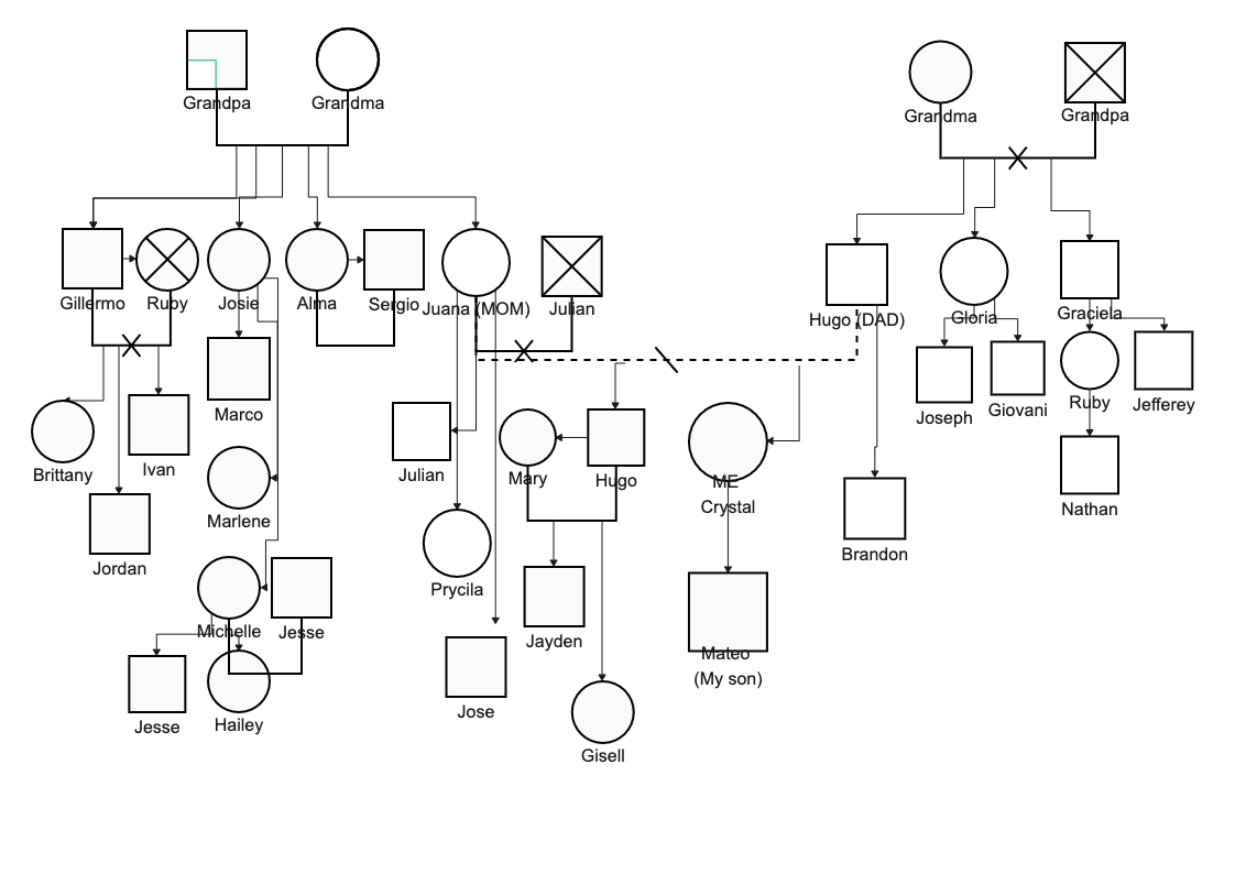 Four Generation Genogram With Marriage History