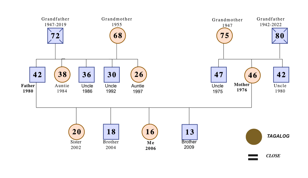 Multigeneration Colored Genogram