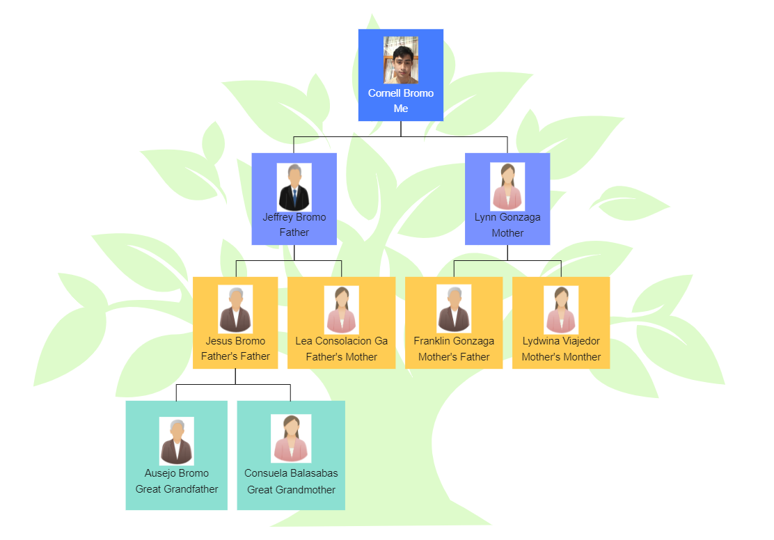 Family Tree of The Bromo | EdrawMax Template