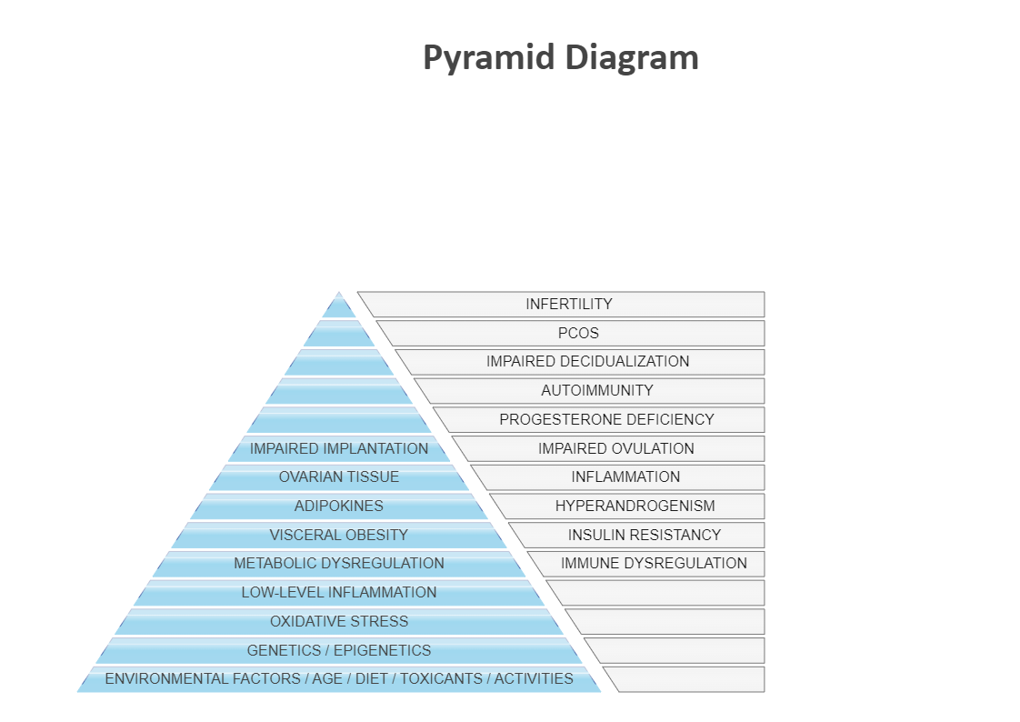 Company Pyramid Diagram