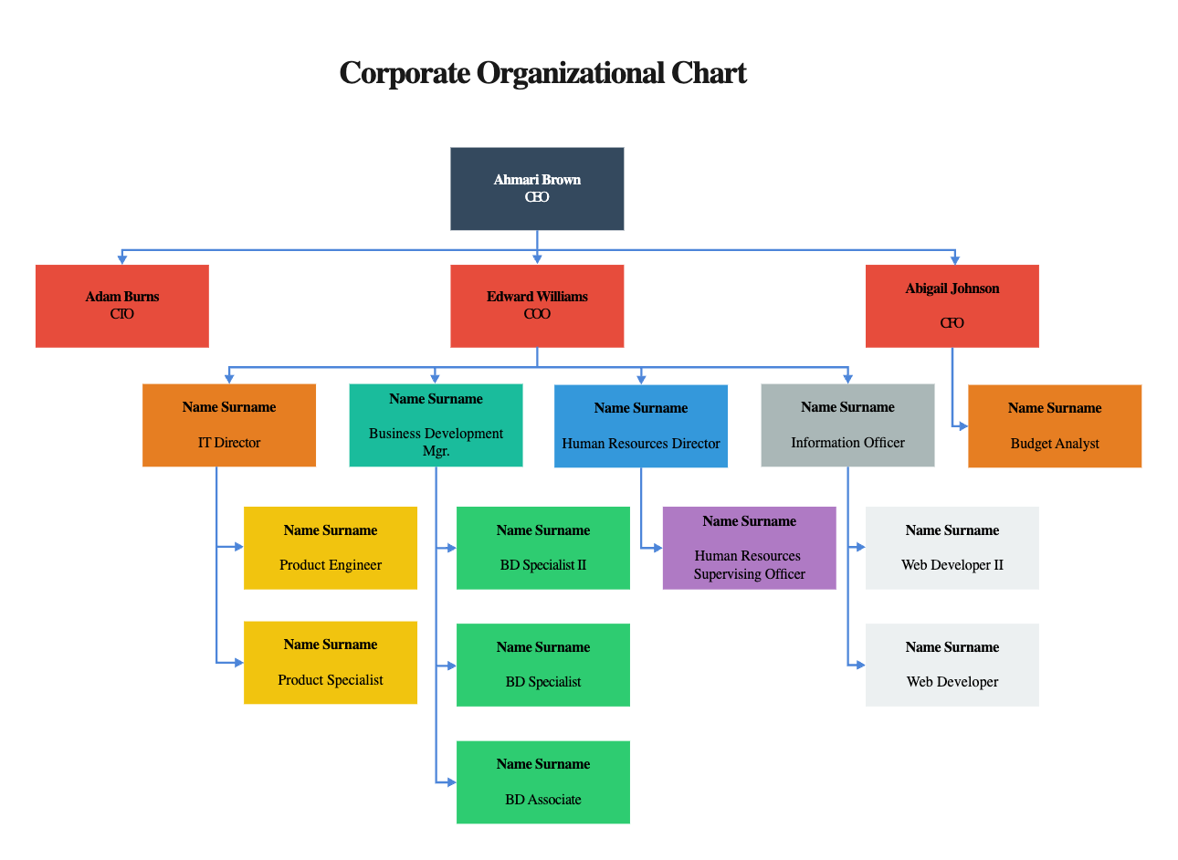 New Corporate Organizational Chart Example