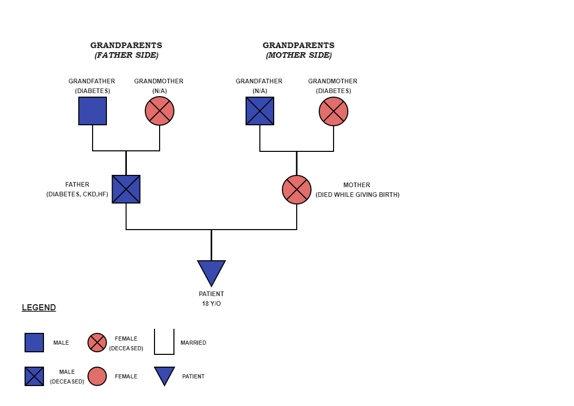 A Patient's Family Genogram | EdrawMax Template