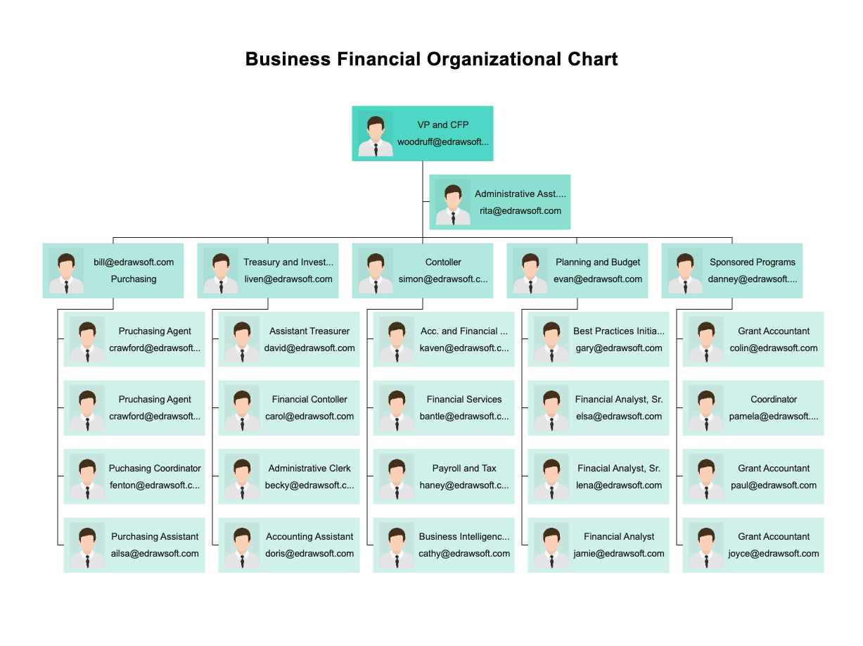 Org Chart for Business Financial and Accounting Team | EdrawMax Templates