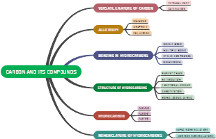 ecoding Carbon's Realm