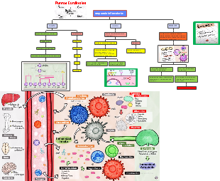respuesta inflamatoria