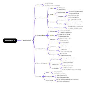 Thermodynamics Mind Map