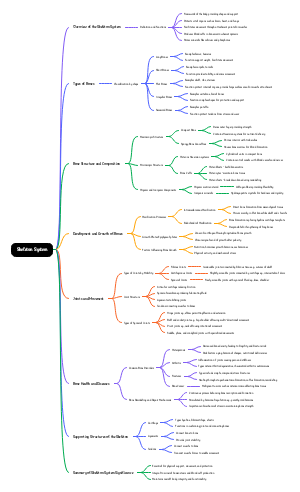 Skeletal System Mind Map