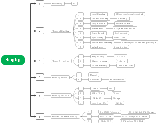 Tips for Hashtags Mind Map