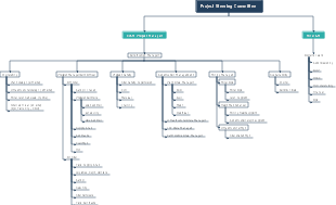 Project Steering Committee Organizational Structure