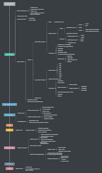 Neurodiversity Mind Map