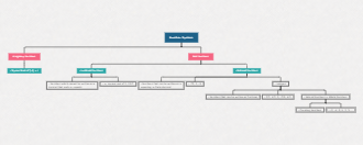 representation of number system by mind map