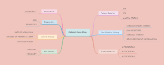 Patient Care Plan