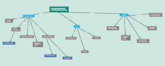 Nursing Management for dextroampetamine therapy