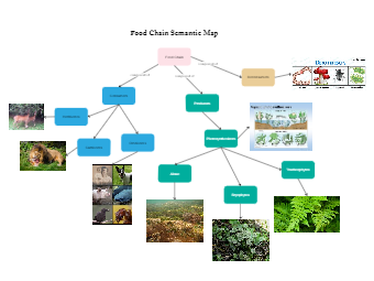 Food Chain Semantic Map