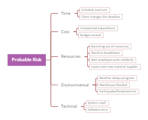 Risk Identification