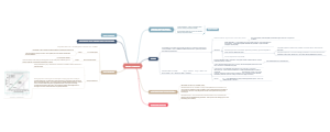 Renal Physiology