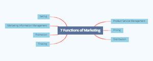 7 Functions of Marketing