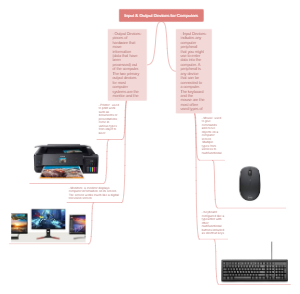 Input and Output Devices for Computers