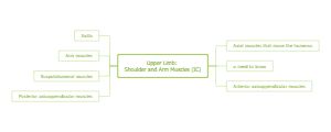 Upper Limb - Shoulder and Arm Muscles (IC)