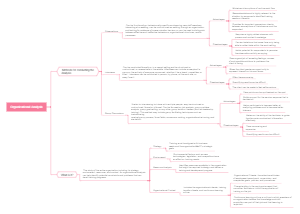 Organizational Analysis