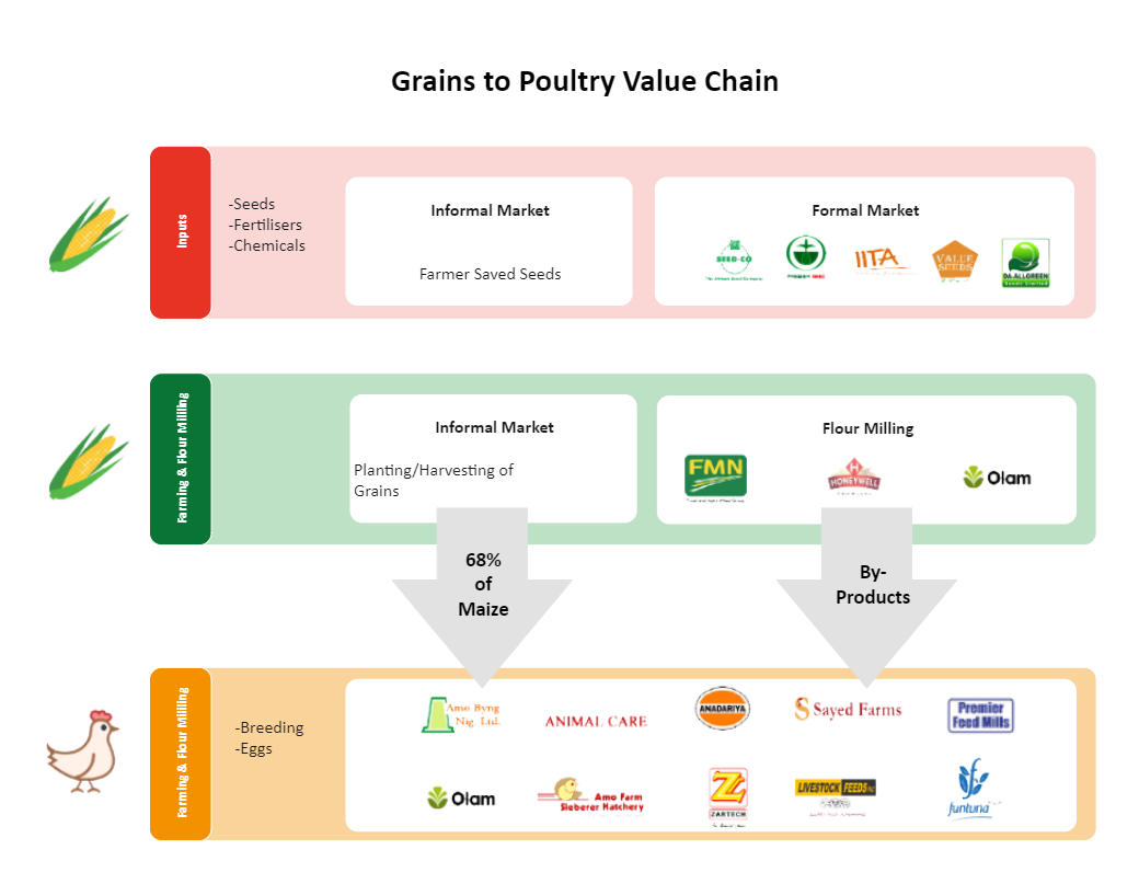 Grains to Poultry Value Chain