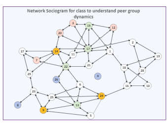 Peer Group Dynamics Sociogram