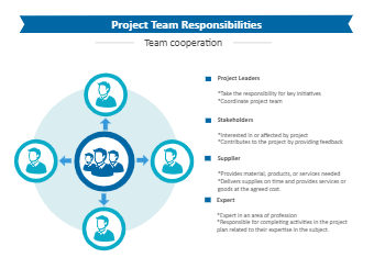 Project Team Responsibilities