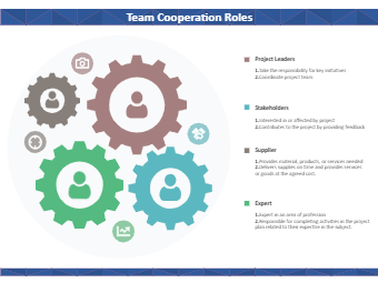 Team Cooperation Roles