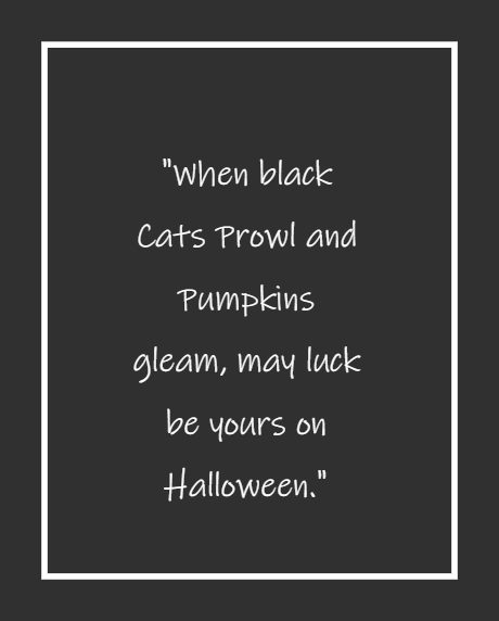 Dark Funny Halloween Quote