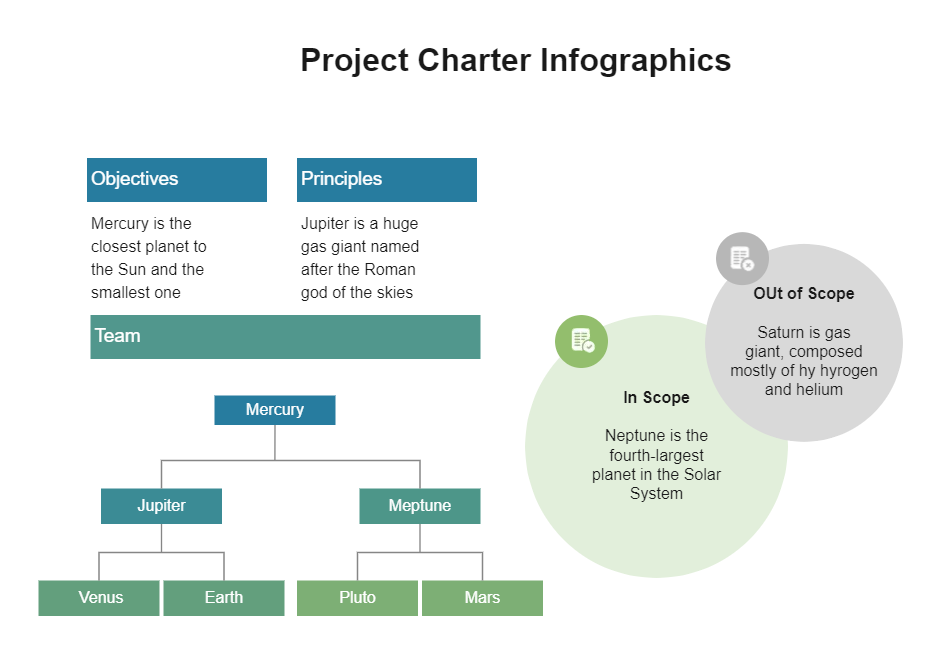 Project Charter Infographics