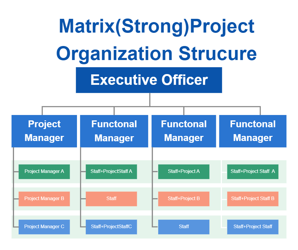 Project Organizational Structure