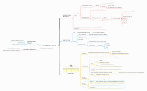 Network Layer